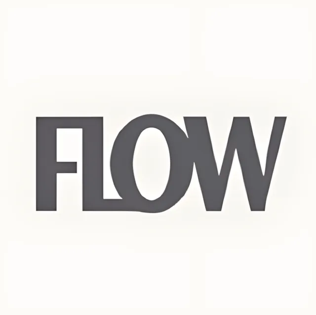 Add The Flow logo