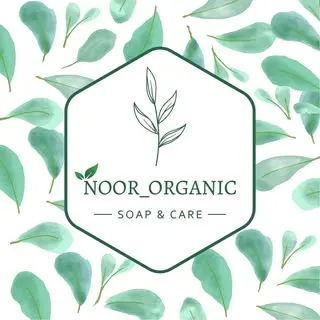 Noor Organic logo